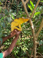/album/fotogaleria-madagaskar-zajazd-vy-a-my1/madagaskar-zajazd-185-jpg2/
